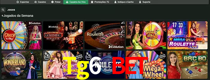 Tg6 Bet bet